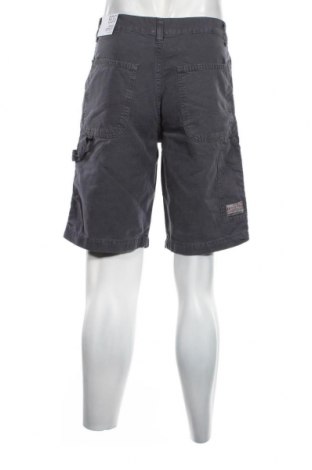 Ανδρικό κοντό παντελόνι BDG, Μέγεθος M, Χρώμα Γκρί, Τιμή 29,90 €
