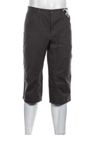 Ανδρικό κοντό παντελόνι Man's World, Μέγεθος L, Χρώμα Γκρί, Τιμή 12,99 €