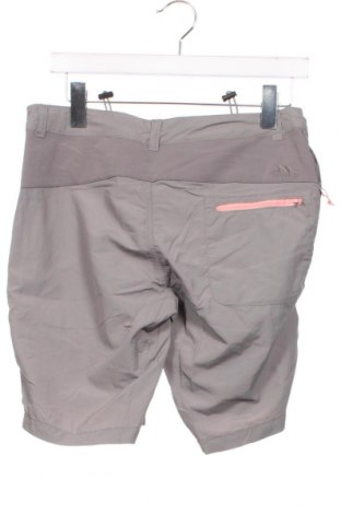Herren Shorts Trespass, Größe S, Farbe Grau, Preis 44,85 €