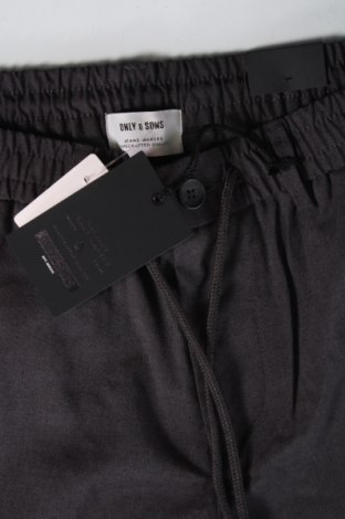 Ανδρικό παντελόνι Only & Sons, Μέγεθος S, Χρώμα Γκρί, Τιμή 4,98 €