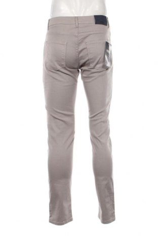 Ανδρικό παντελόνι SMF, Μέγεθος M, Χρώμα Γκρί, Τιμή 44,85 €