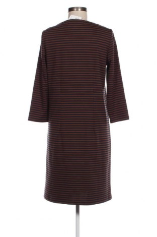 Kleid Alba Moda, Größe S, Farbe Mehrfarbig, Preis € 5,21