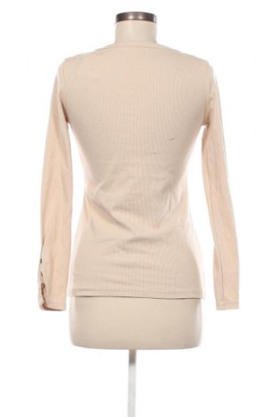 Damen Shirt, Größe S, Farbe Braun, Preis € 5,99