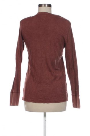 Damen Shirt Aerie, Größe L, Farbe Braun, Preis € 5,99