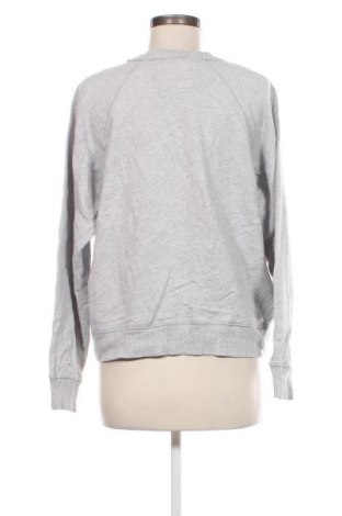 Damen Shirt American Eagle, Größe M, Farbe Grau, Preis 23,99 €