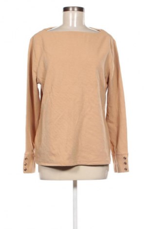 Damen Shirt Ann Taylor, Größe XL, Farbe Beige, Preis 13,99 €