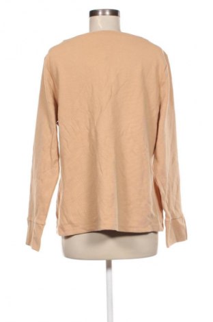 Damen Shirt Ann Taylor, Größe XL, Farbe Beige, Preis 13,99 €