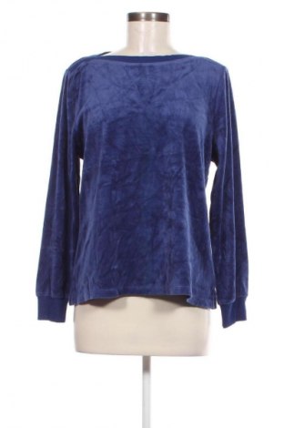 Damen Shirt Appleseed's, Größe L, Farbe Blau, Preis € 6,49