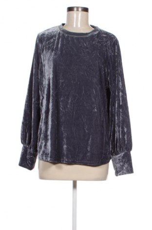 Damen Shirt Ava & Viv, Größe XL, Farbe Blau, Preis € 6,49