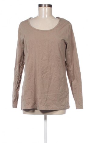 Damen Shirt Bpc Bonprix Collection, Größe XL, Farbe Braun, Preis € 6,99