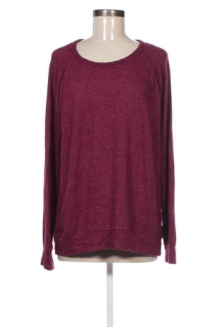 Damen Shirt Buffalo, Größe L, Farbe Lila, Preis 10,99 €