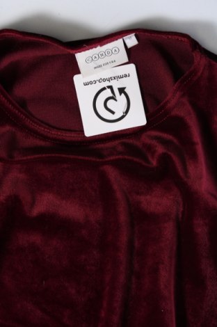 Damen Shirt Canda, Größe M, Farbe Rot, Preis 13,49 €