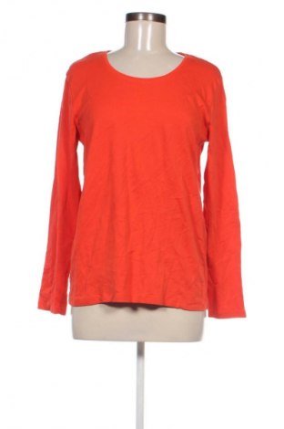 Damen Shirt Cecil, Größe XL, Farbe Orange, Preis € 23,99