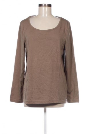 Damen Shirt Cecil, Größe XL, Farbe Grün, Preis € 23,99