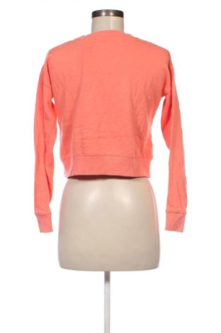 Damen Shirt Dip, Größe XS, Farbe Orange, Preis 13,49 €