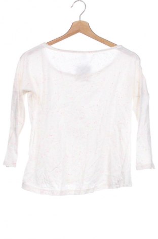 Damen Shirt Fishbone, Größe XS, Farbe Mehrfarbig, Preis € 2,99