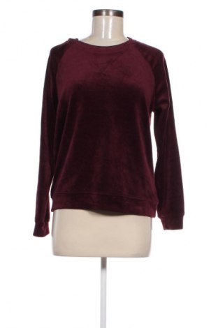 Damen Shirt Gloria Vanderbilt, Größe S, Farbe Rot, Preis 13,49 €