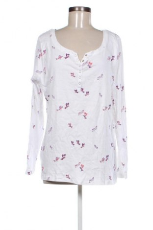 Damen Shirt Kangaroos, Größe L, Farbe Weiß, Preis € 23,99