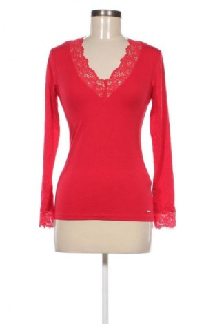 Damen Shirt Morgan, Größe M, Farbe Rot, Preis € 46,65