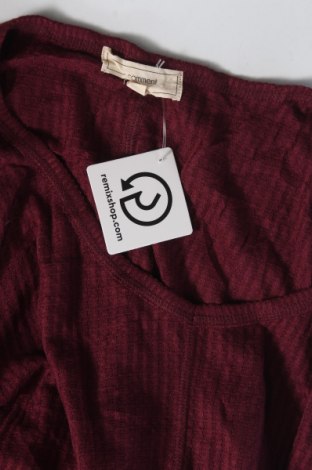 Damen Shirt No comment, Größe L, Farbe Rot, Preis € 6,49