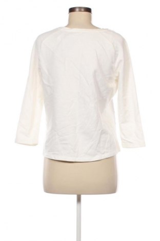 Damen Shirt Orsay, Größe L, Farbe Ecru, Preis € 21,99