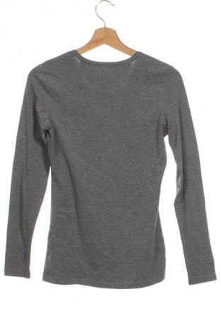 Damen Shirt Pikeur, Größe XS, Farbe Grau, Preis € 17,99