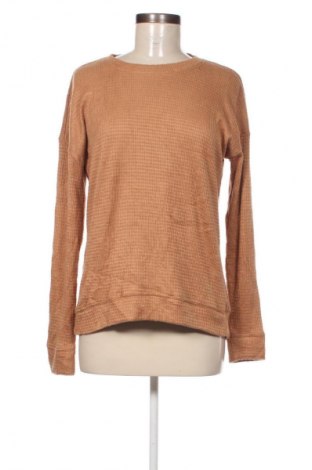 Damen Shirt Sonoma, Größe S, Farbe Braun, Preis 5,99 €