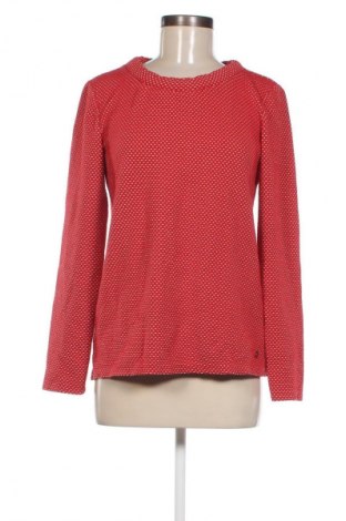 Damen Shirt Tom Tailor, Größe M, Farbe Mehrfarbig, Preis € 9,99