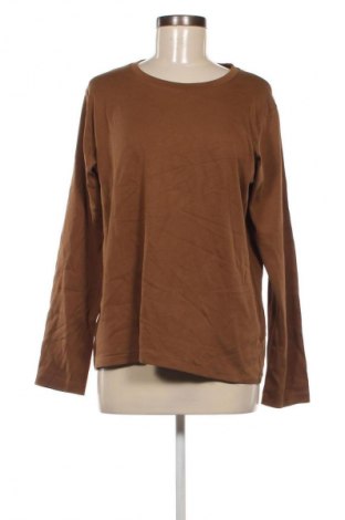 Damen Shirt Uniqlo, Größe XL, Farbe Braun, Preis € 23,99