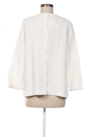 Damen Shirt Vanilla, Größe M, Farbe Weiß, Preis € 3,99