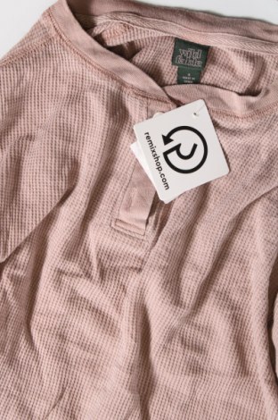 Damen Shirt Wild Fable, Größe S, Farbe Rosa, Preis € 3,99