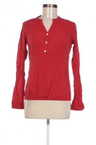 Damen Shirt Zabaione, Größe XS, Farbe Rot, Preis 4,99 €