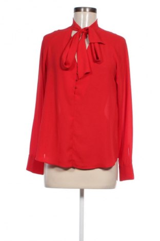 Damen Shirt Zara, Größe M, Farbe Rot, Preis € 9,99