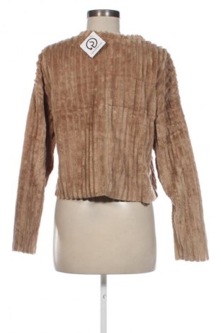 Damen Shirt Zara Trafaluc, Größe S, Farbe Beige, Preis 7,99 €