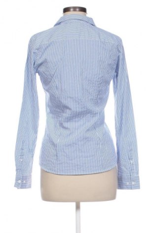 Damenbluse H&M, Größe M, Farbe Blau, Preis € 17,99