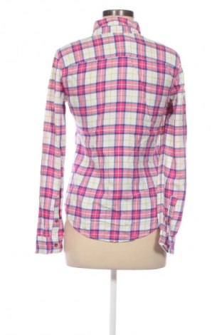 Damenbluse Hollister, Größe S, Farbe Rosa, Preis € 11,99