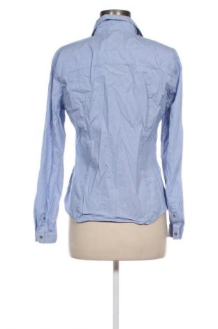 Damenbluse Massimo Dutti, Größe XL, Farbe Blau, Preis € 38,40