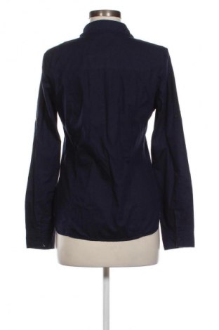 Damenbluse Zara, Größe L, Farbe Blau, Preis 9,99 €