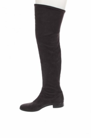 Damenstiefel, Größe 40, Farbe Schwarz, Preis € 35,69