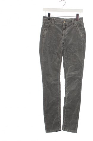 Pantaloni de velvet de femei Cambio, Mărime XS, Culoare Gri, Preț 89,99 Lei