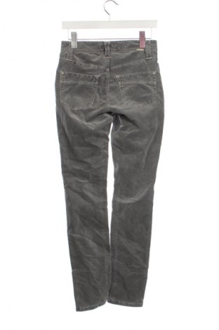 Pantaloni de velvet de femei Cambio, Mărime XS, Culoare Gri, Preț 89,99 Lei