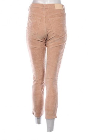 Damen Cordhose Everlane, Größe S, Farbe Beige, Preis 14,99 €