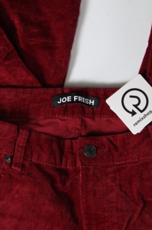 Γυναικείο κοτλέ παντελόνι Joe Fresh, Μέγεθος XL, Χρώμα Κόκκινο, Τιμή 9,49 €