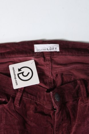 Pantaloni de velvet de femei Loft, Mărime XL, Culoare Mov, Preț 78,99 Lei