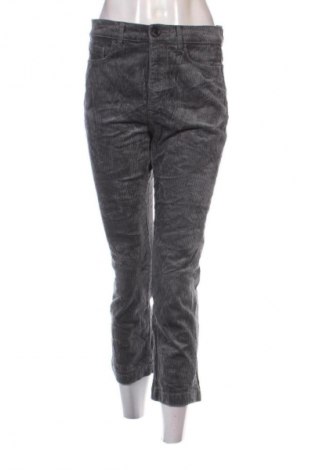 Damen Cordhose Loft, Größe S, Farbe Grau, Preis 19,49 €