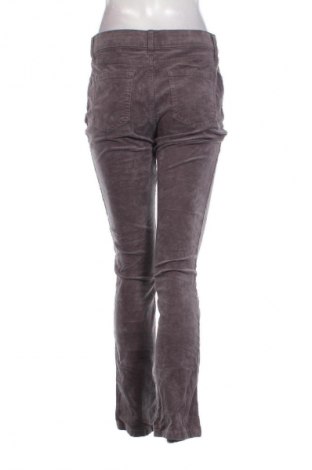 Pantaloni de velvet de femei St John's Bay, Mărime M, Culoare Gri, Preț 19,99 Lei