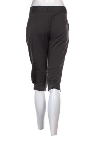 Damen Shorts Jack Wolfskin, Größe M, Farbe Grau, Preis € 17,39