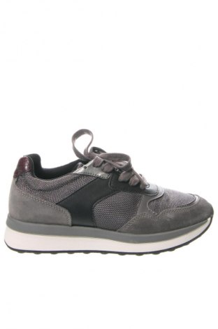 Damenschuhe Geox, Größe 36, Farbe Grau, Preis € 58,65