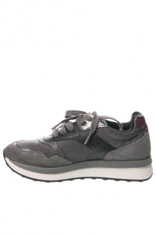 Damenschuhe Geox, Größe 36, Farbe Grau, Preis € 58,65