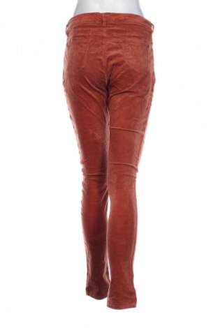 Damenhose, Größe S, Farbe Braun, Preis 7,49 €